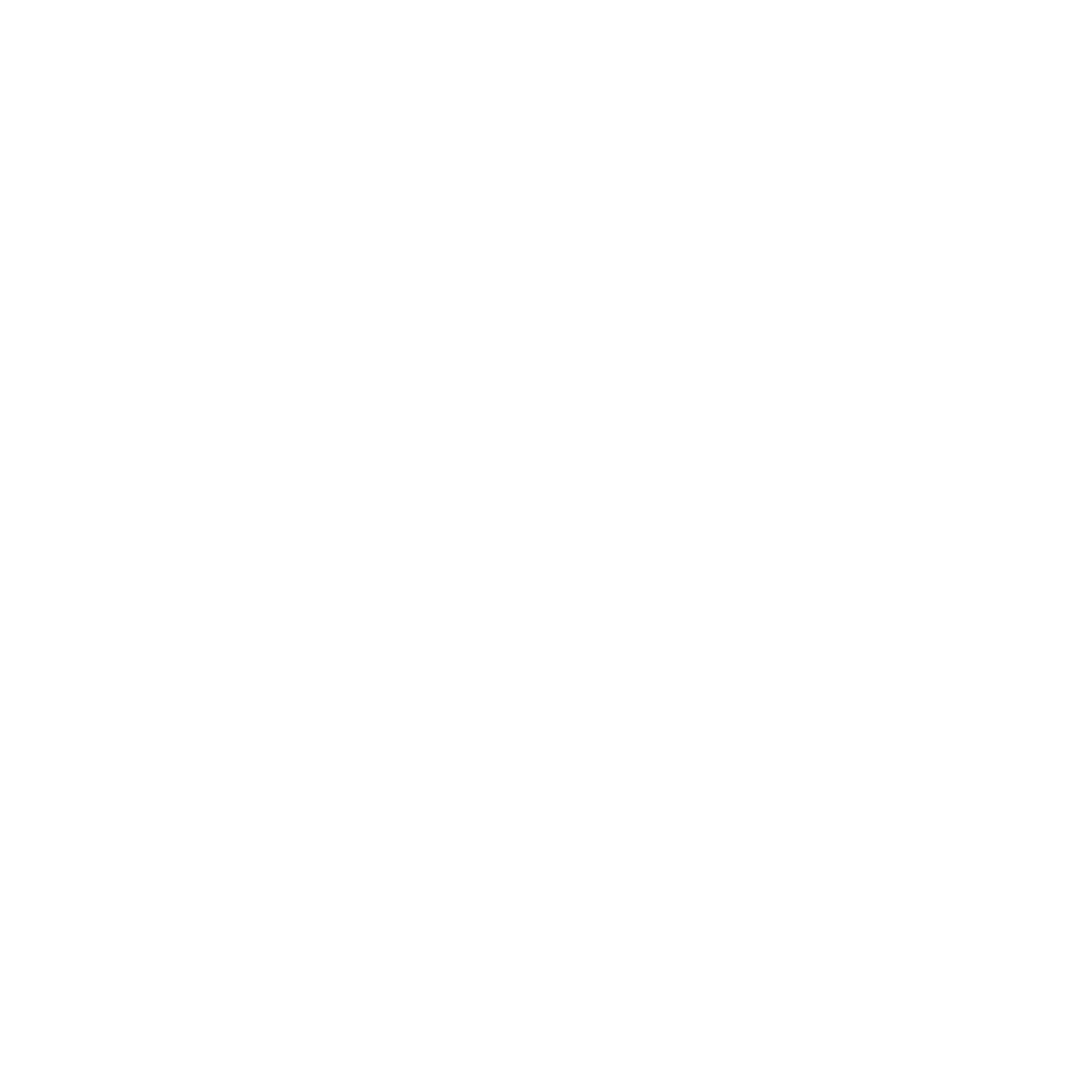 PassionDriver Logo
